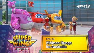 Super Wings Ke Negara Indonesia Kapan